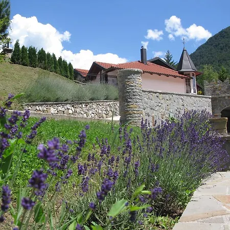 Pensjonat Reida Most na Soči